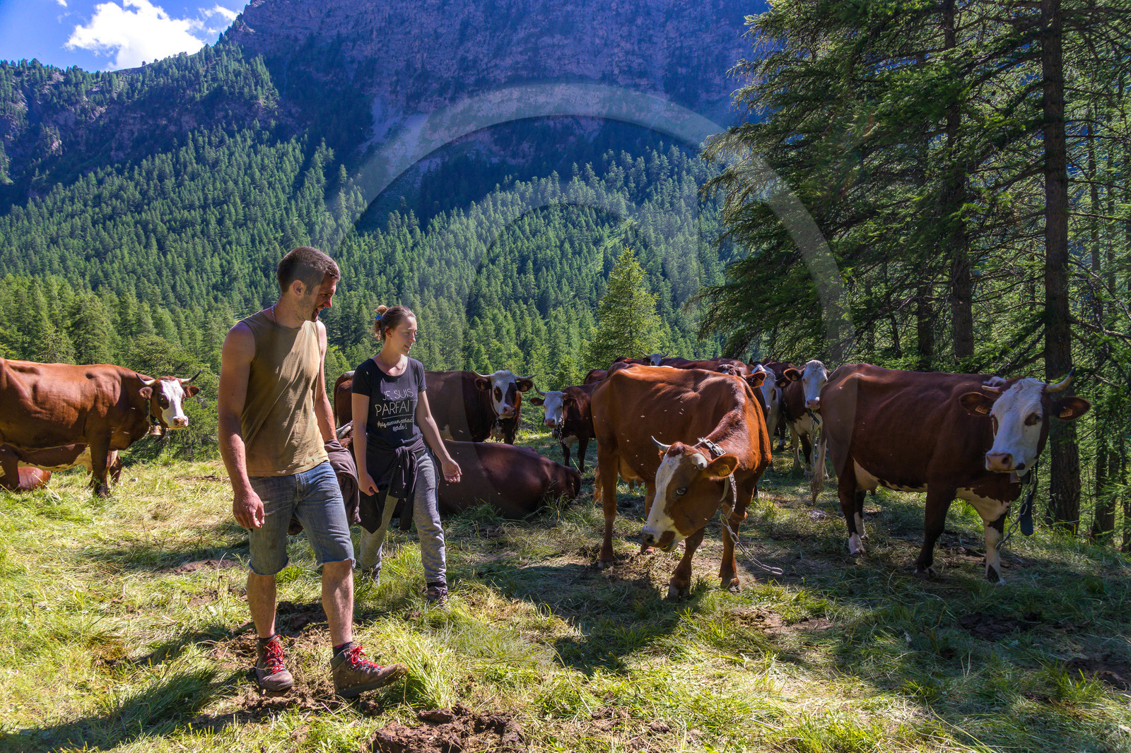 Fromagerie fermière de Pra Chiriou