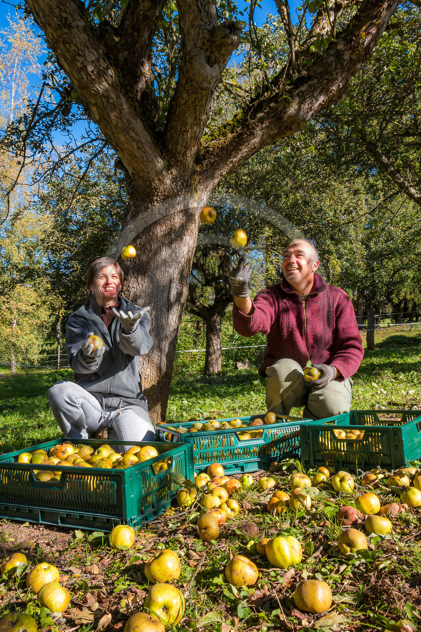 Etablissement Gayral, producteur de jus
