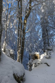 ENS de l'Isère, Les Ecouges, oratoire du Versoud