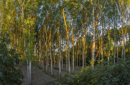 ENS de l'Isère, , le méandre des Oves