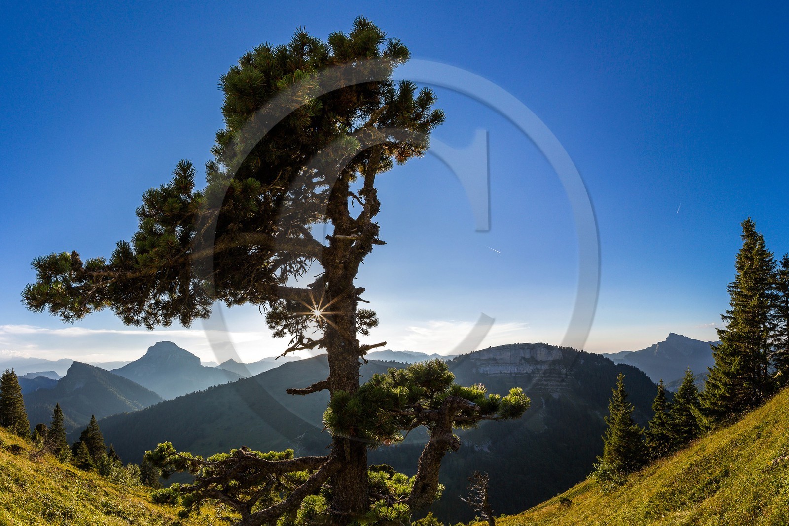 Espace naturel sensible de l'Isère, Col du Coq
