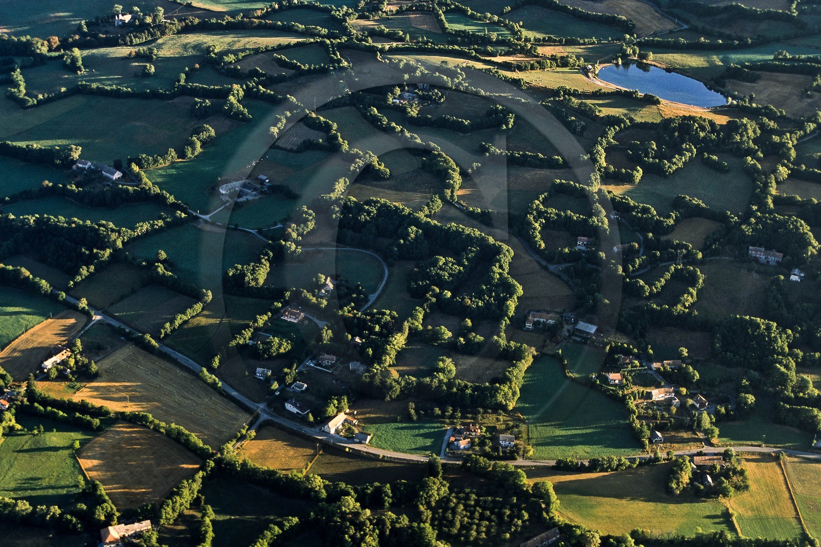 Vallée du Champsaur, le bocage