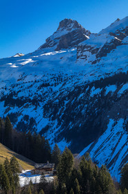 Le Grand Bornand, Les Plans