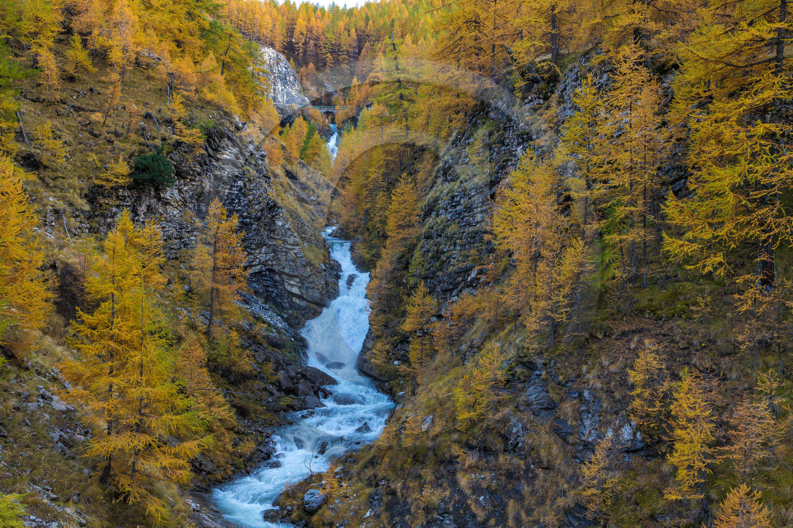 Col de la Cayolle, le Bachelard