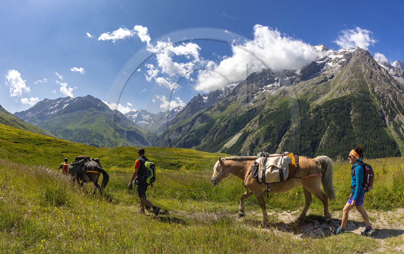 Trek famille avec animaux de bats