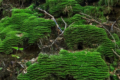ENS de l'Isère, Les Ecouges