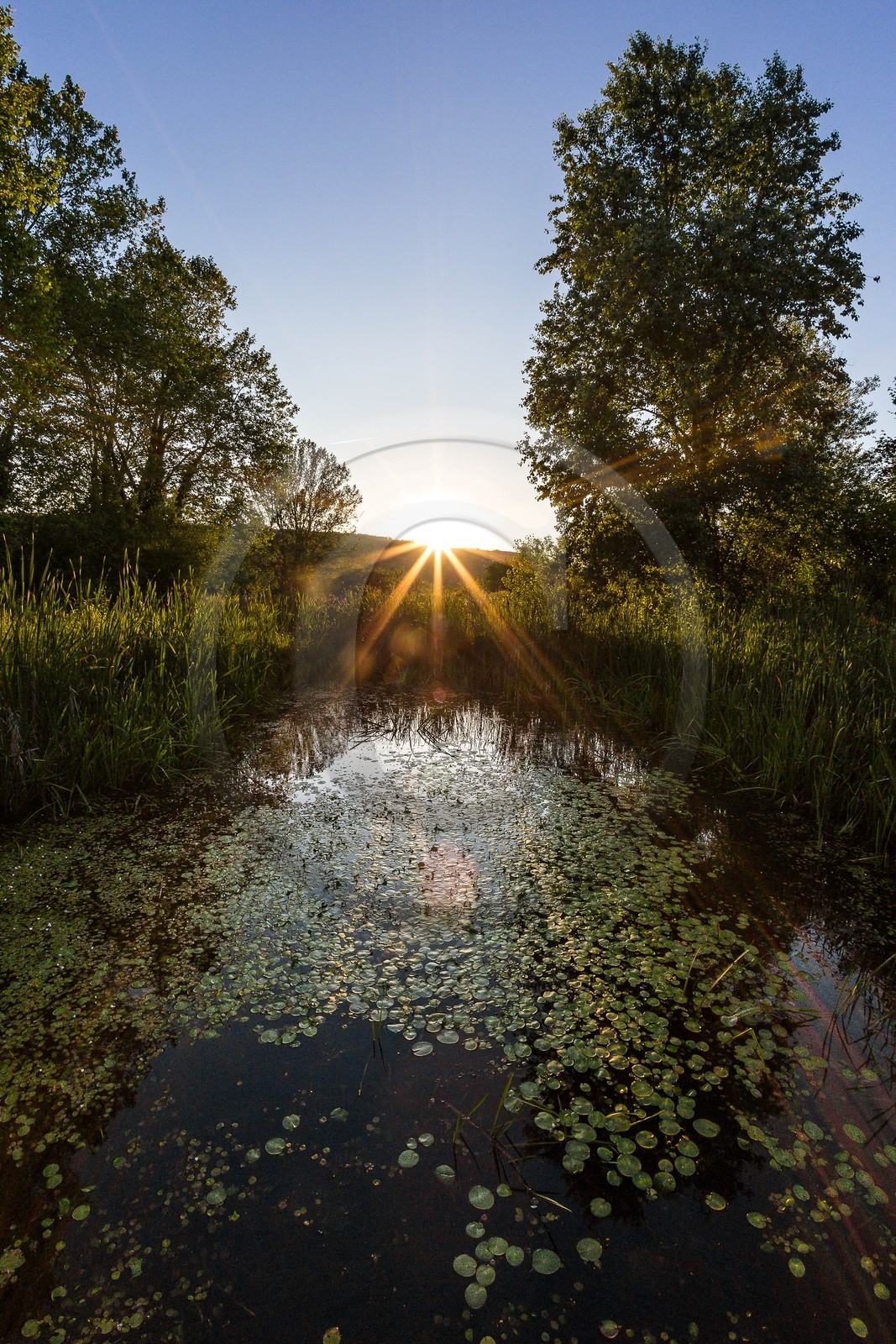 ENS de l'Isère, , le méandre des Oves