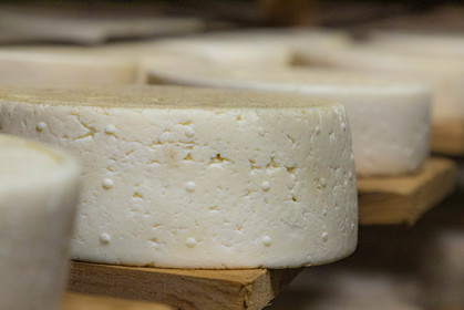 Fromagerie du Plan, Pierrick Rolland, éleveur