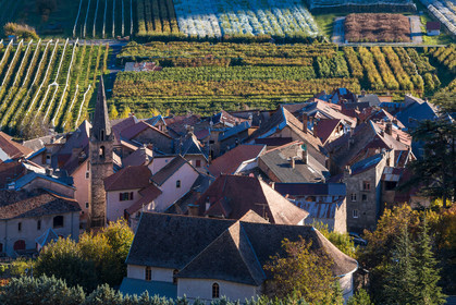 Remollon