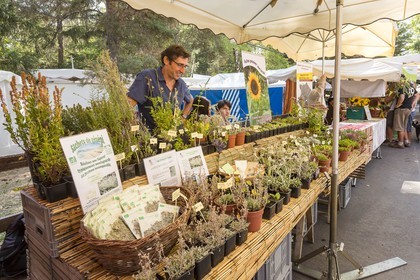 Embrun, Foire Génépi, foire bio