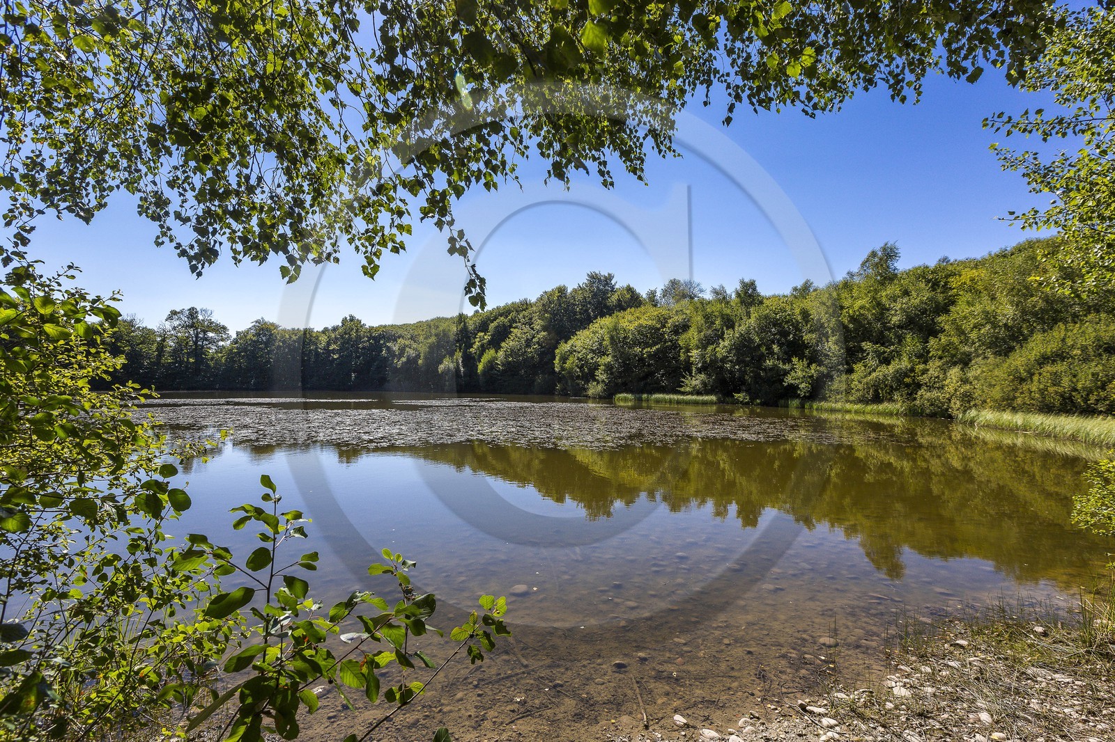 ENS de l'Isère, Etang des Béroudières