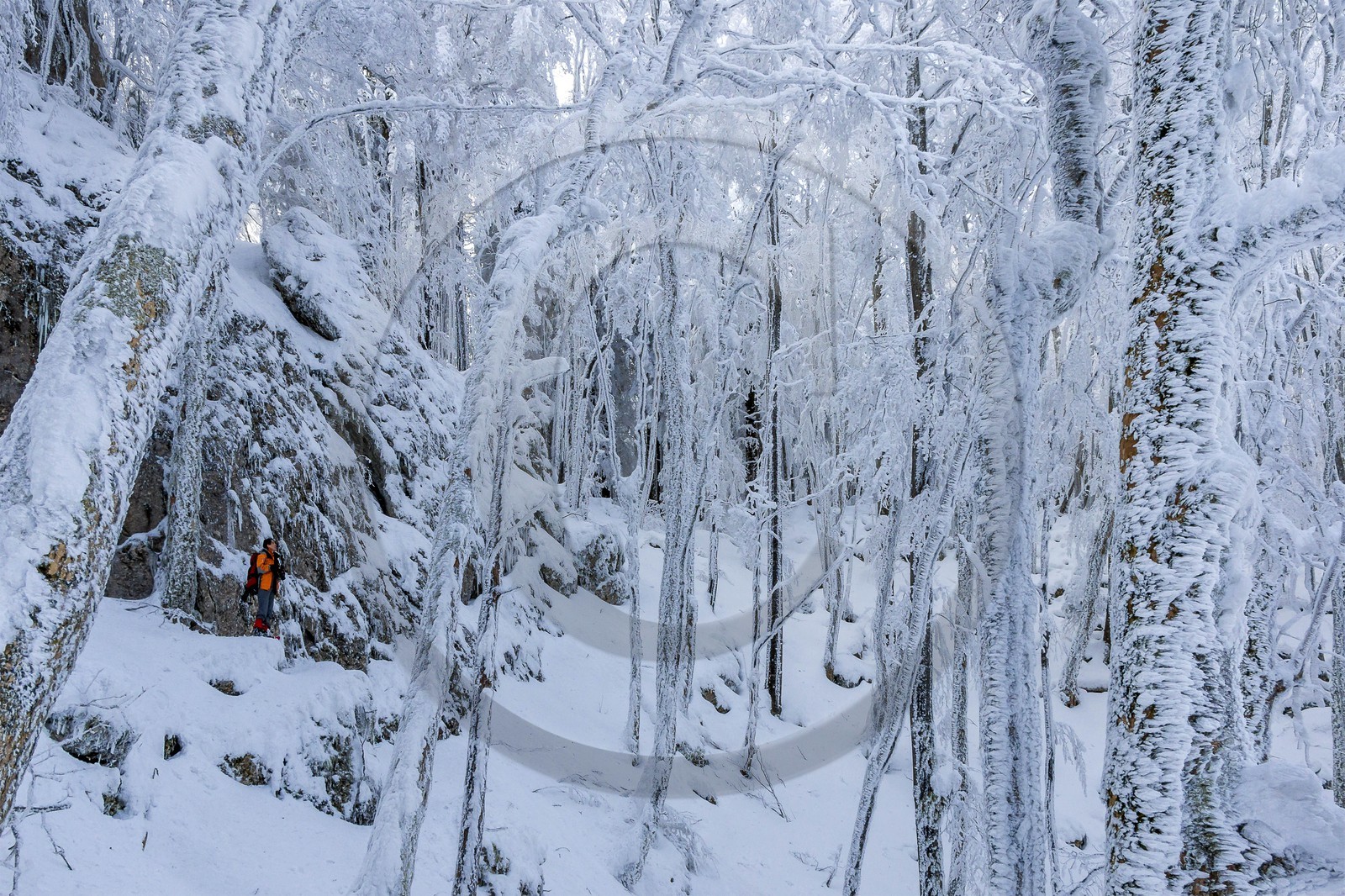 ENS de l'Isère, Les Ecouges