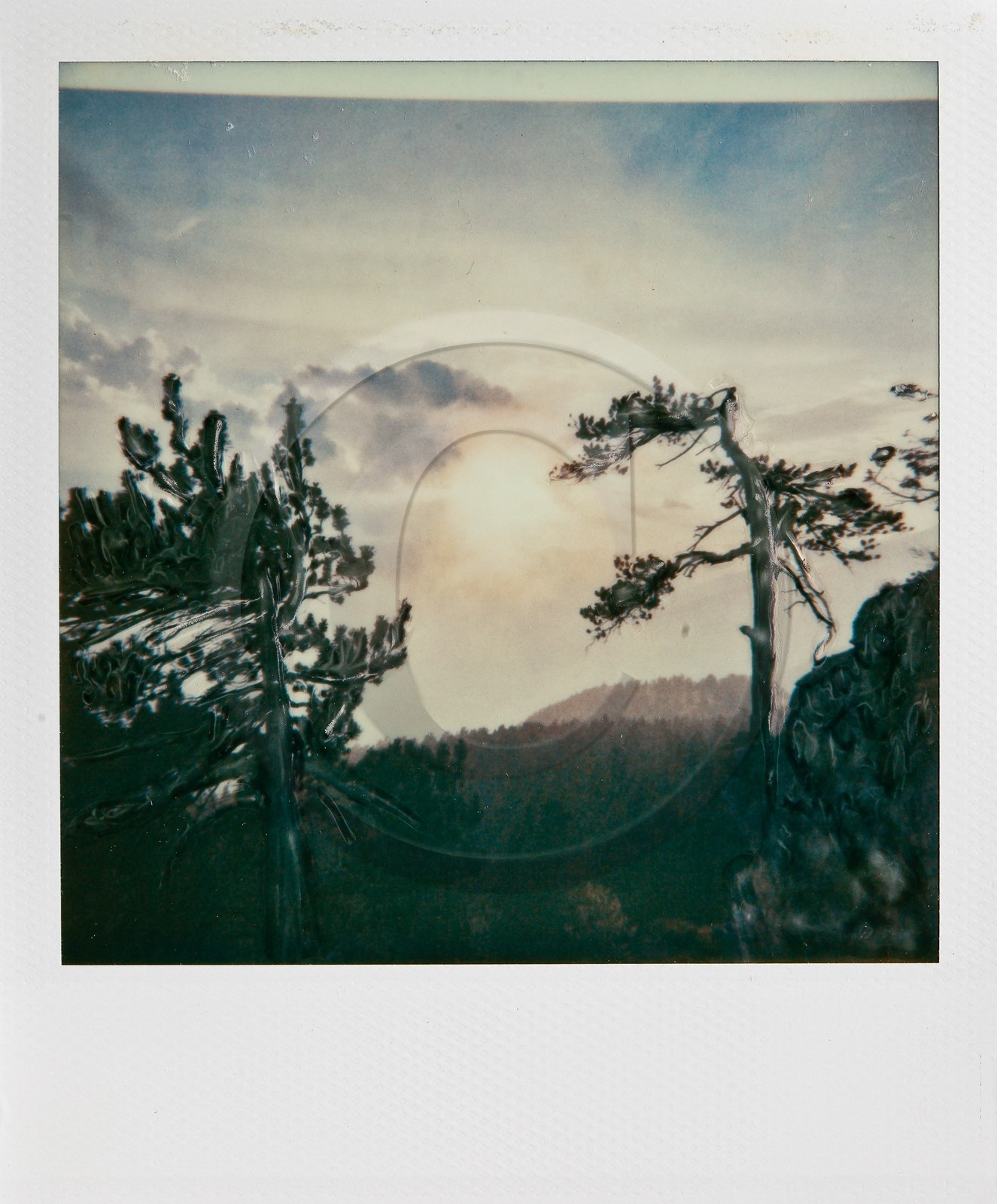 Exposition Arbres et petites forêts, éloge de la biodiversité