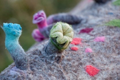 Sentiers Art et Nature Queyras et Val Varaita, Stéphanie Cailleau