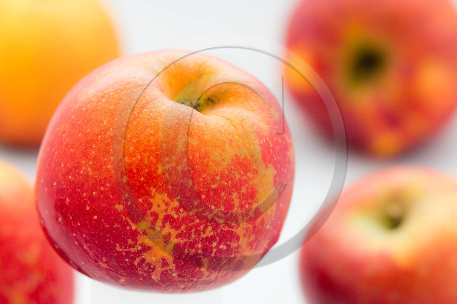 Noëlle et Franck Jacob, producteurs de fruits