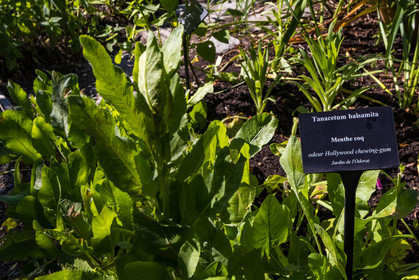 Jardin des Cinq Sens