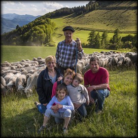 Ferme des Sonnailles, élevage et vente direct d'agneau