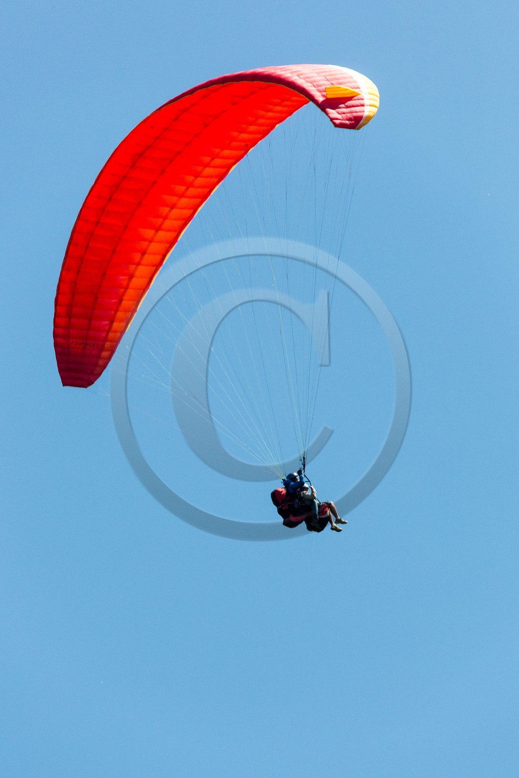 Barcelonnette, Parapente