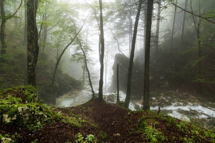 ENS de l'Isère, Les Ecouges