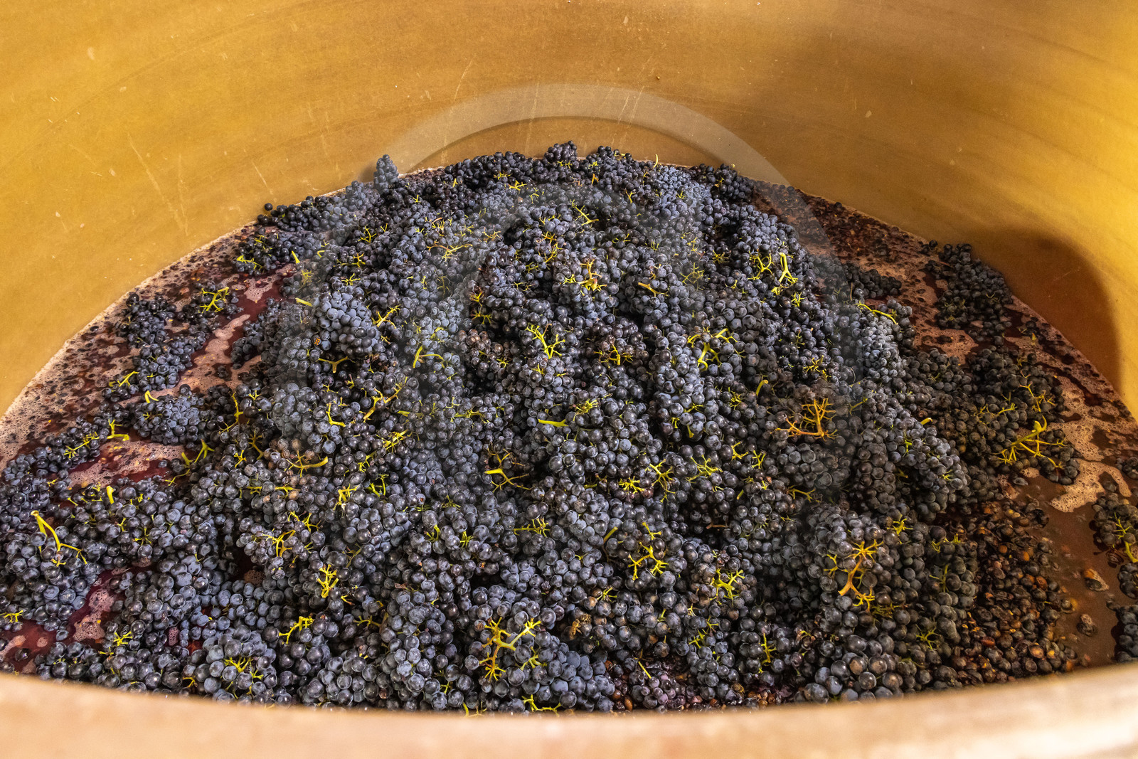 Domaine du Mont Guillaume