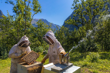 Margaux and Didier Pissard, beekeepers