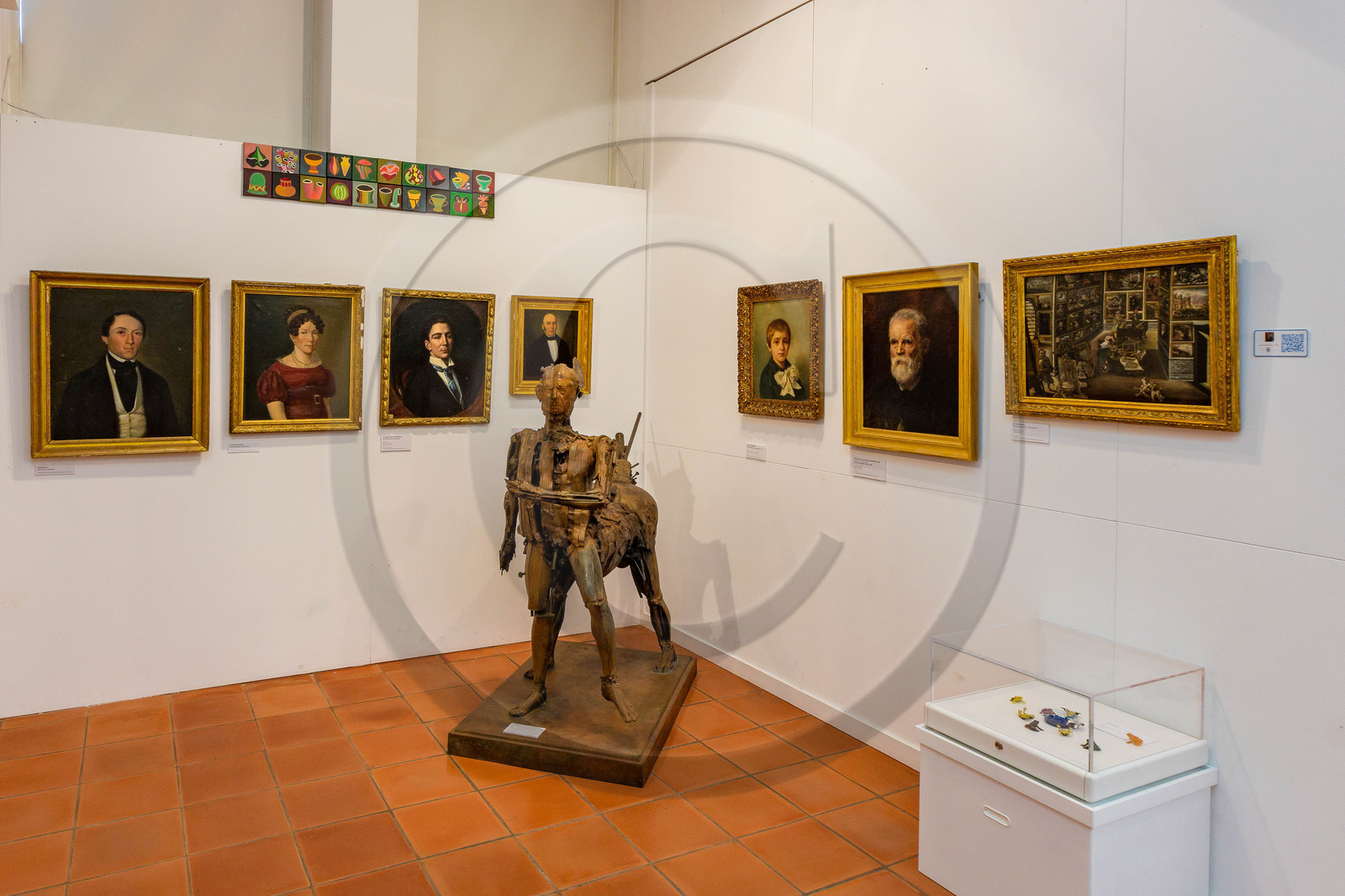 Gap, Musée Muséum départemental des Hautes-Alpes