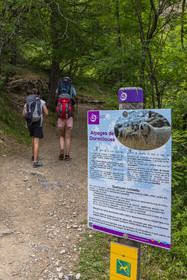 Vallée de Freissinières, panneau d'informations patou