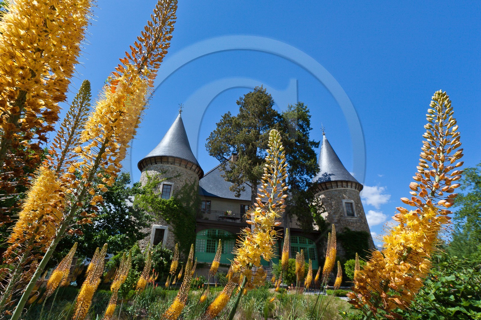 Château de Picomtal,  les jardins du château