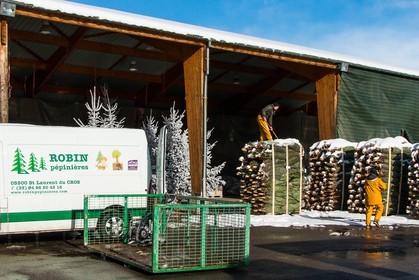 Pépinière Robin, producteur de sapin de Noël