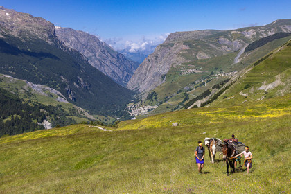 Trek famille avec animaux de bats