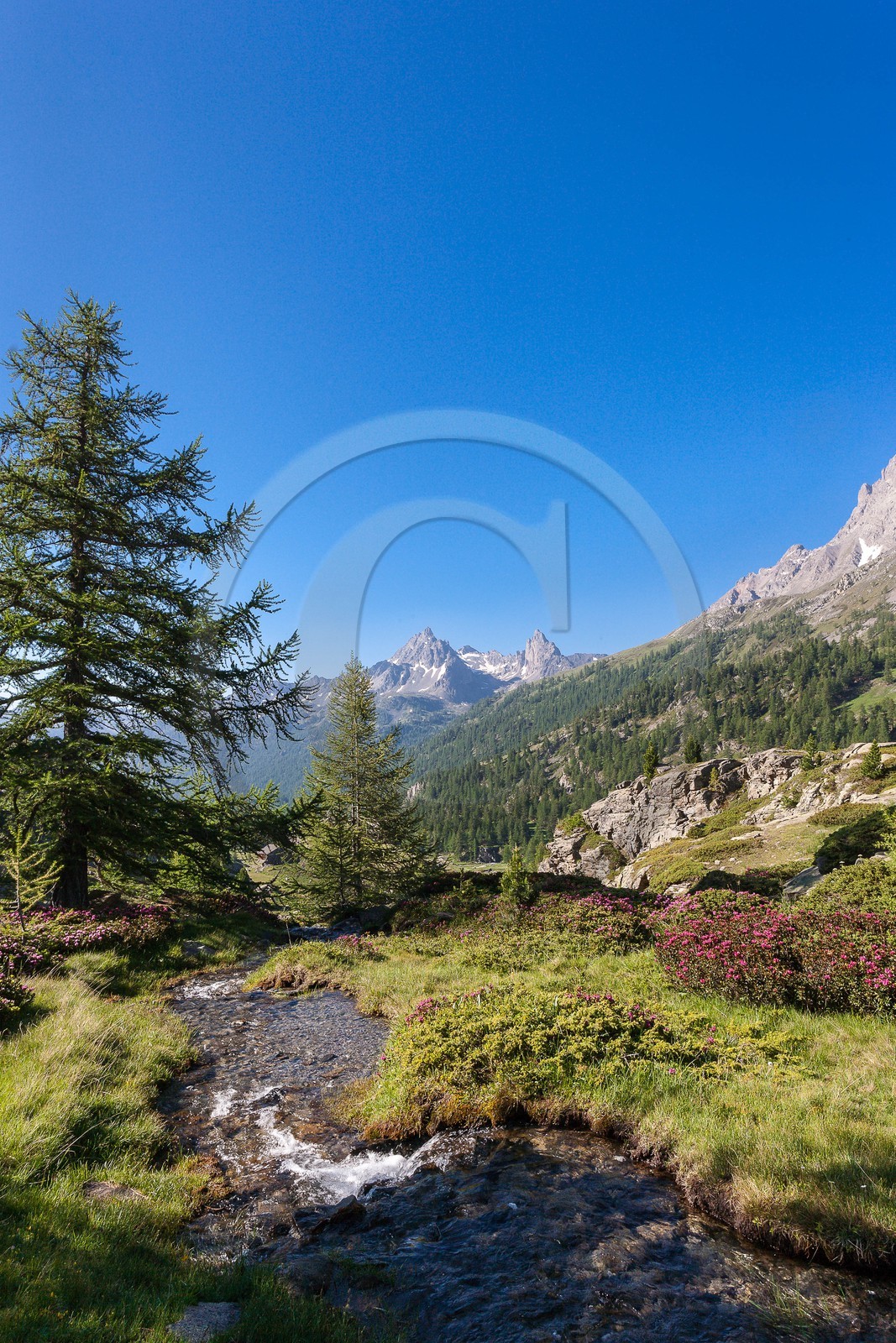 Vallée de la Clarée