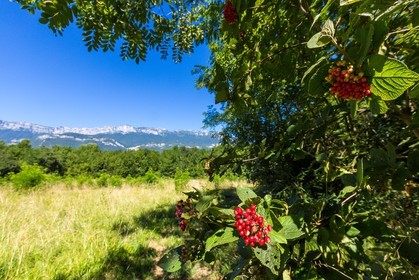 ENS de l'Isère, espace alluvial de la Rolande