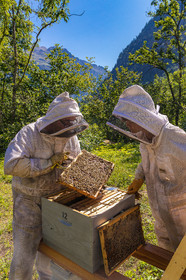 Margaux and Didier Pissard, beekeepers