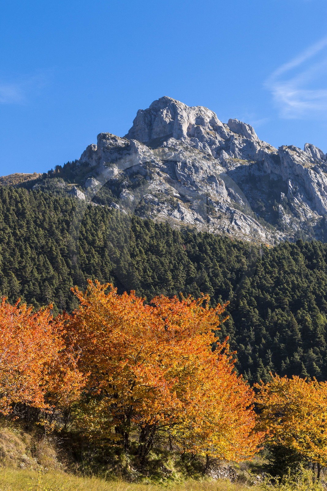 Valdeblore, Baus de la Frema