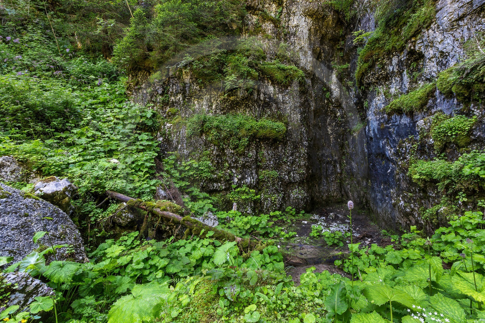 ENS de l'Isère, Plateau de la Molière et du Sornin, Le Puits aux Ecritures, gravures rupestres