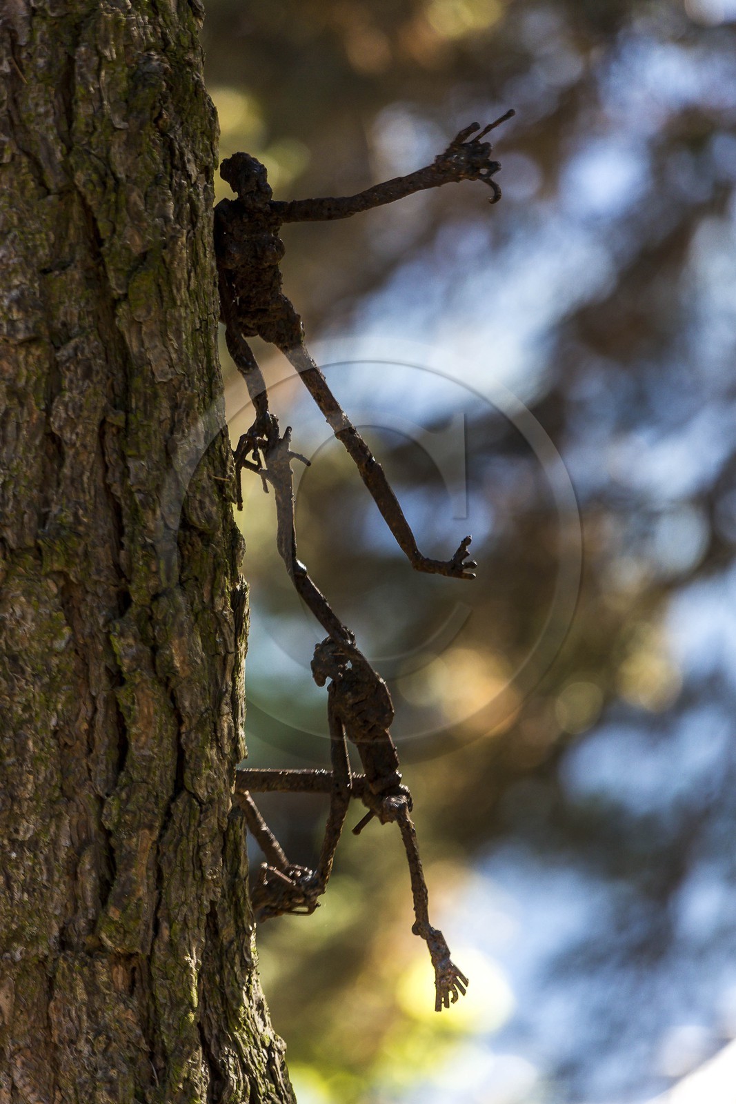 Arboretum de Roure, l'art et l'arbre, Louis Dollé, sculpteur Imagier