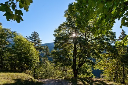 Forêt domaniale des Sauvas