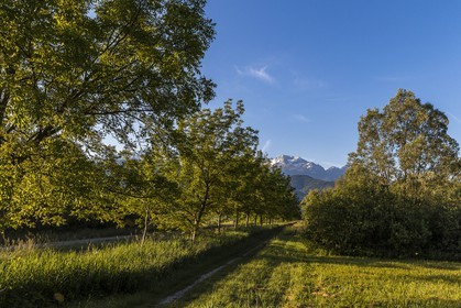 ENS de l'Isère, Marais de Montfort