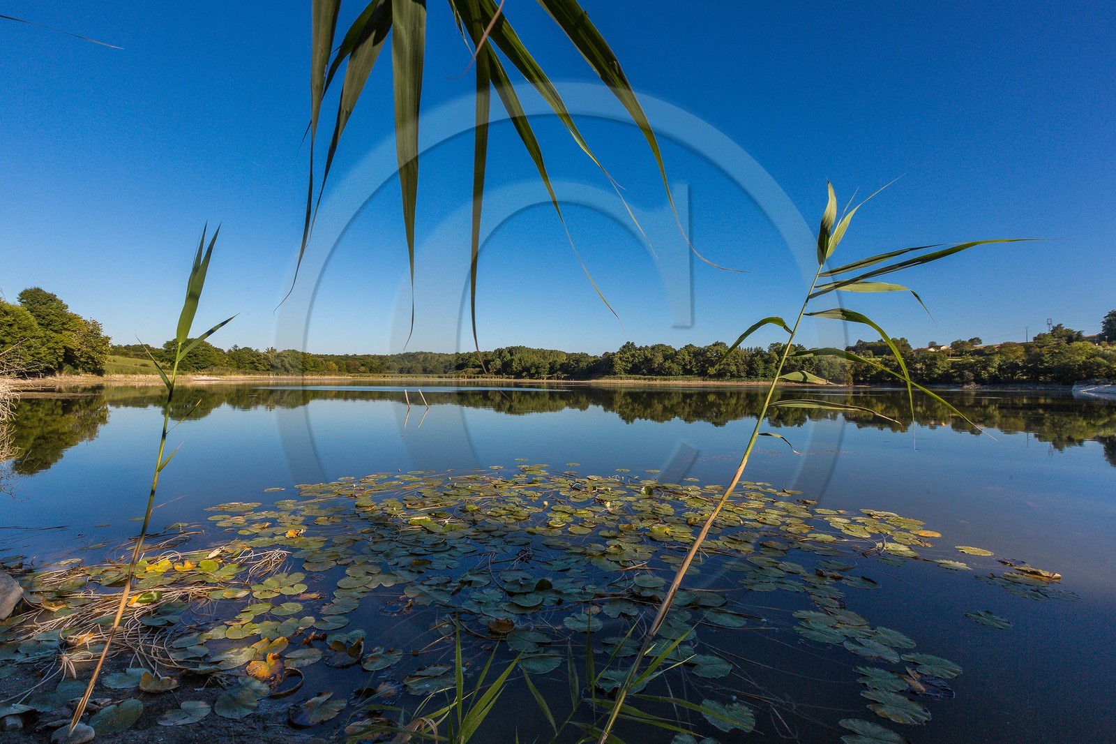 ENS de l'Isère, étang de Montjoux