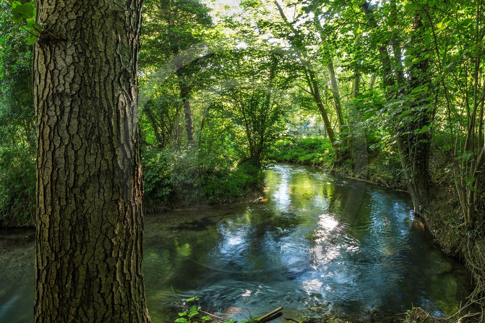 ENS de l'Isère, Prairies inondables de Pont-Évêque