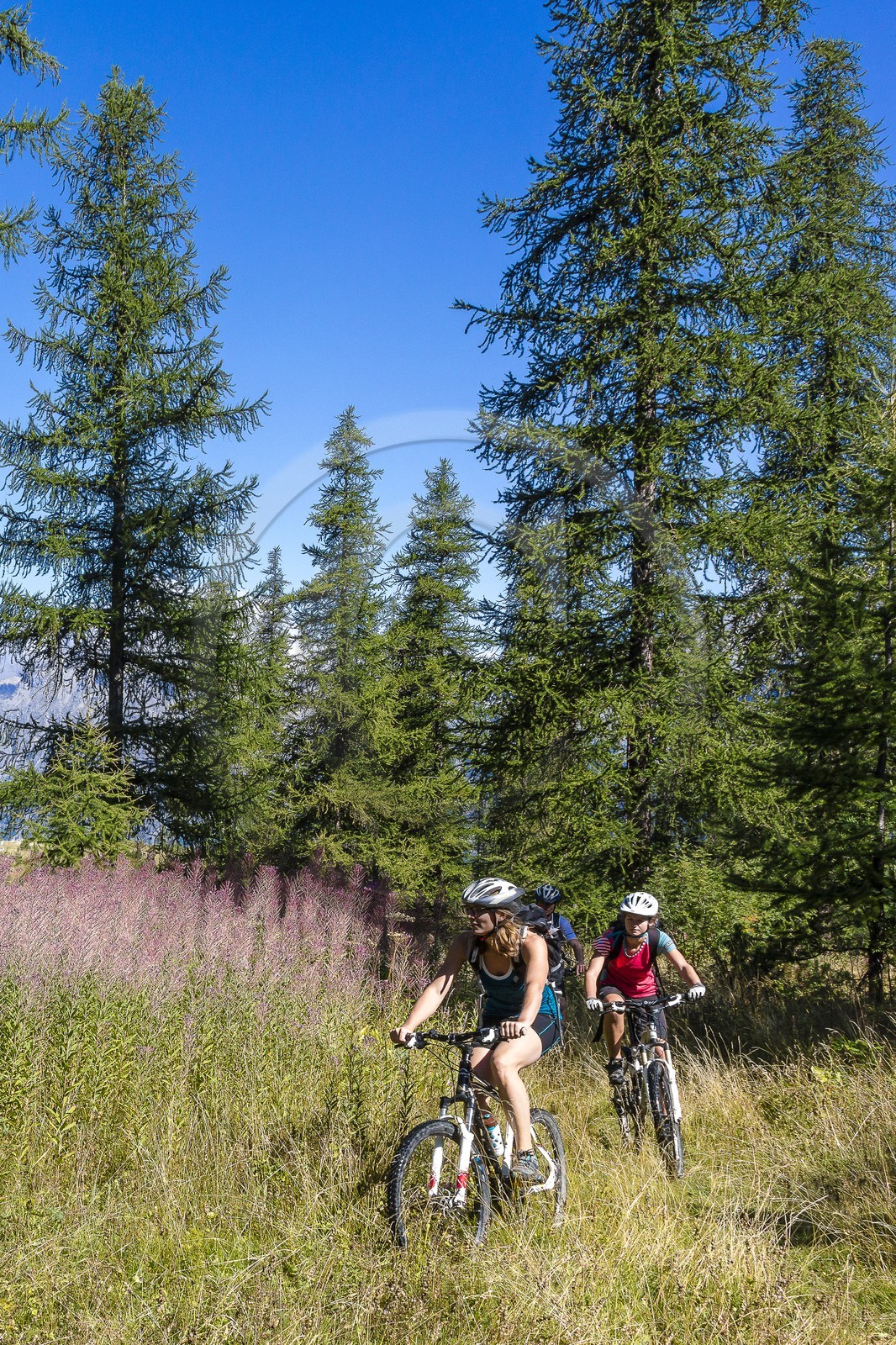 VTT Grand tour des Ecrins
