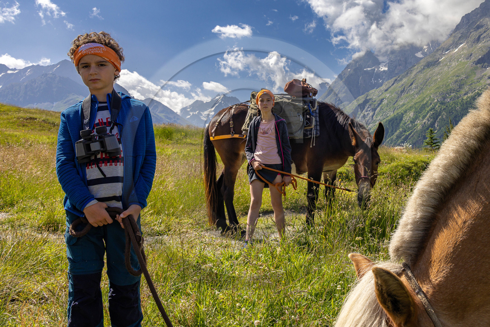 Trek famille avec animaux de bats