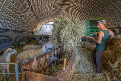 Ferme des Bichoux