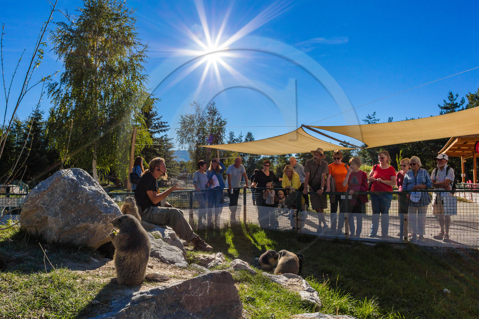 Parc animalier de Serre-Ponçon, parc aux marmottes