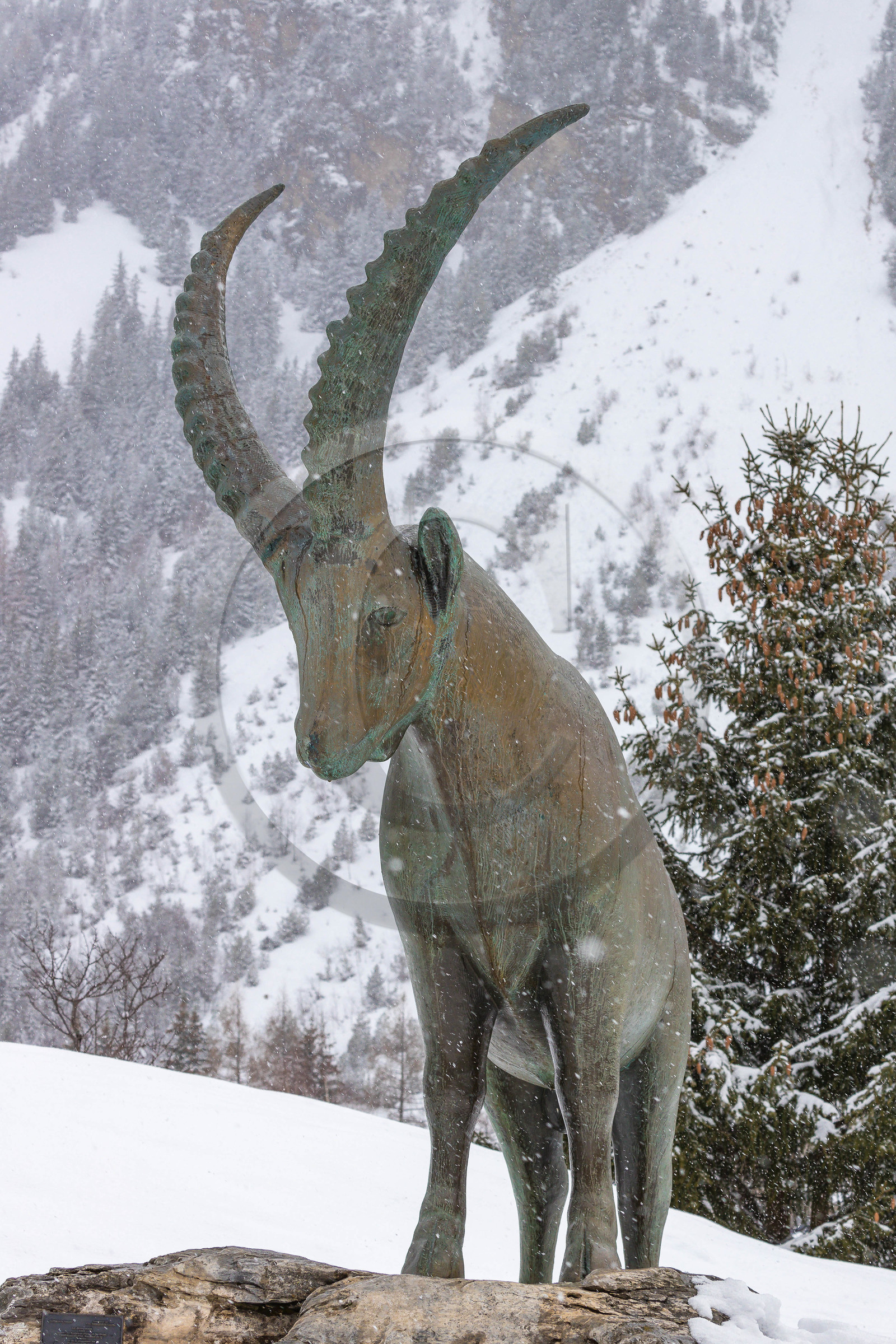 Pralognan-la-Vanoise, bouquetin en bronze