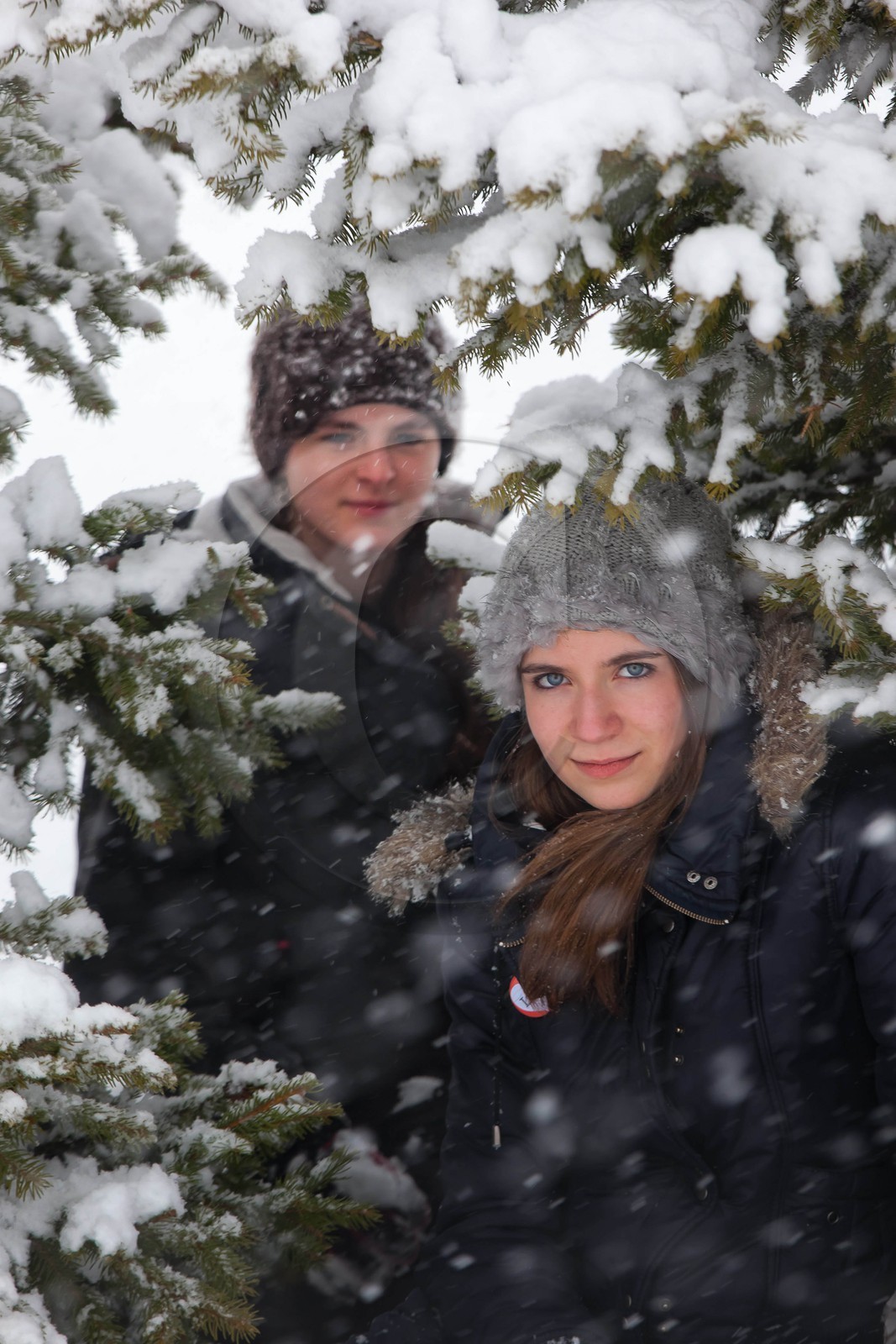 Hiver, randonnée balade sous la neige