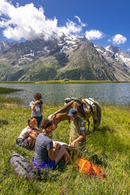 Trek famille avec animaux de bats