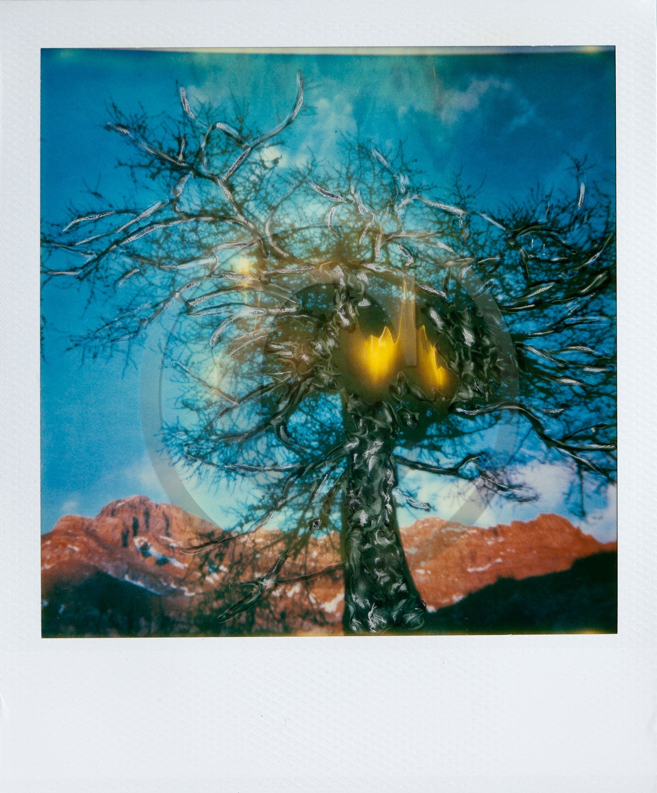 Exposition Arbres et petites forêts, éloge de la biodiversité