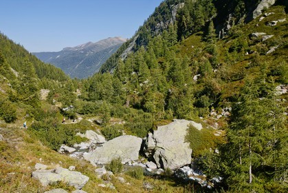 Réserve naturelle du Vallon de Bérard