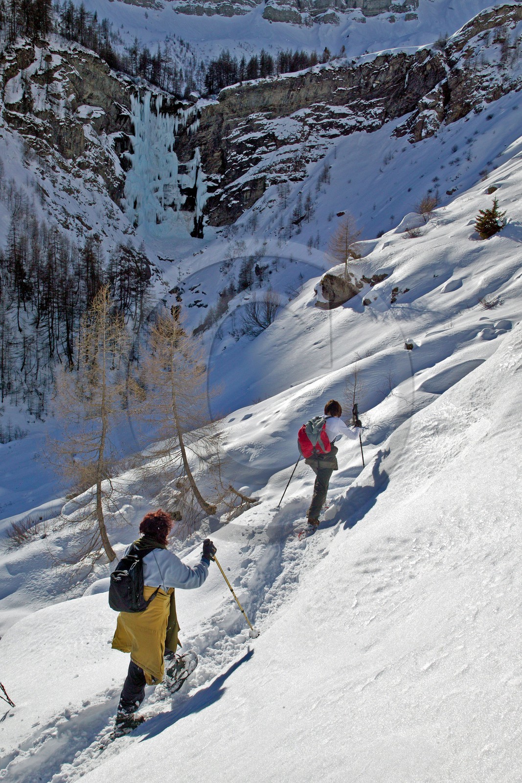 Randonnée raquettes